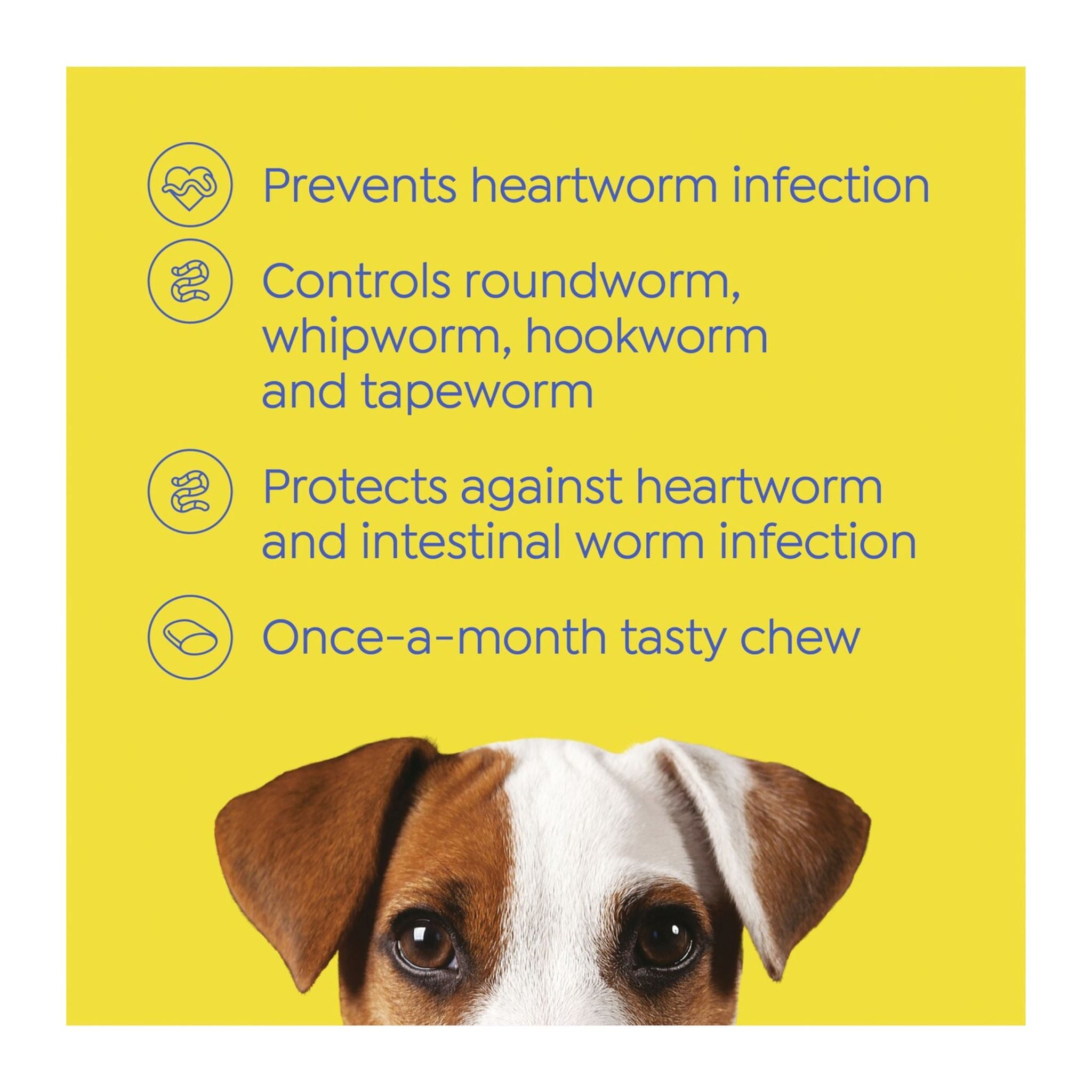 Dog worming product packaging with text on a yellow background
