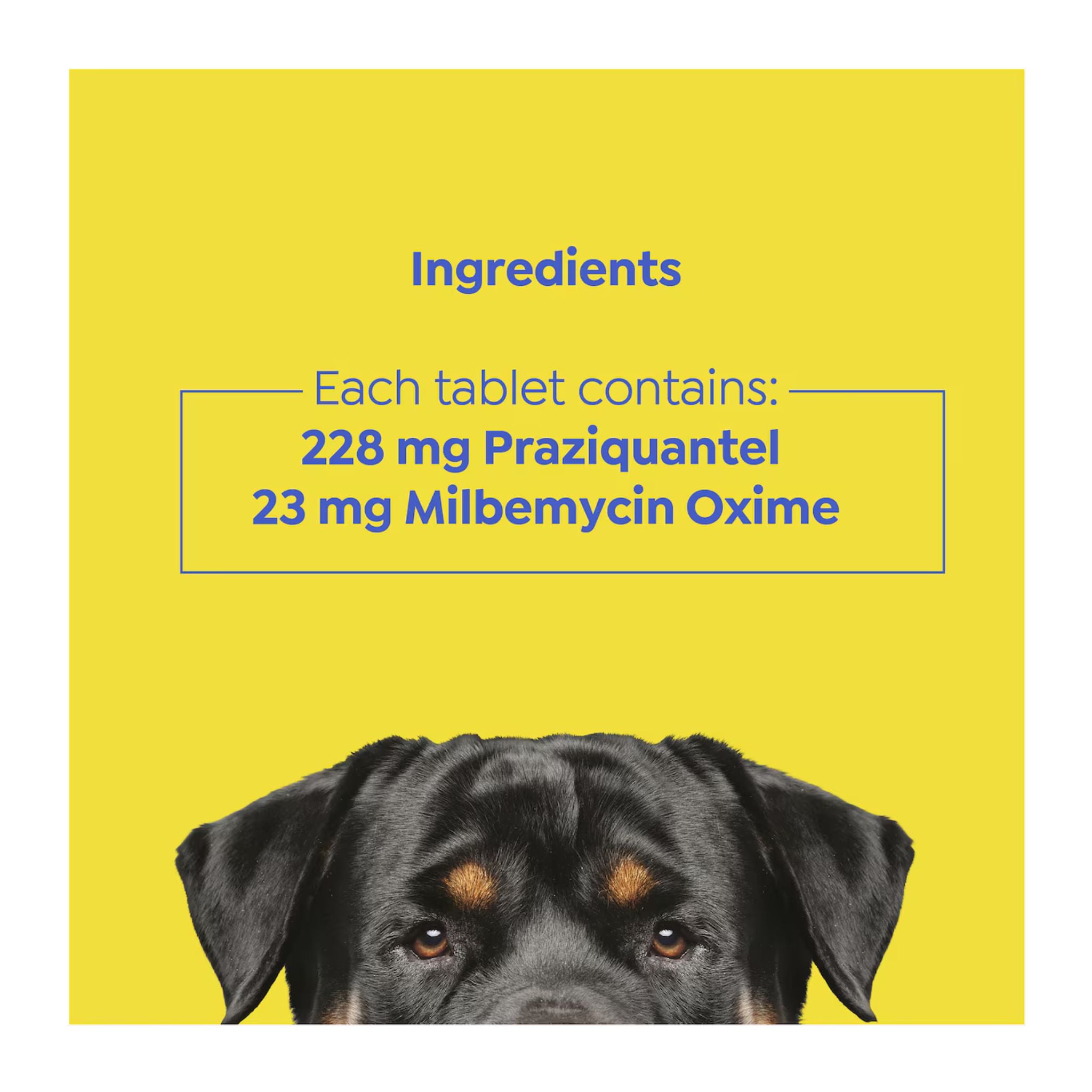 Dog's face with ingredient information on a yellow background