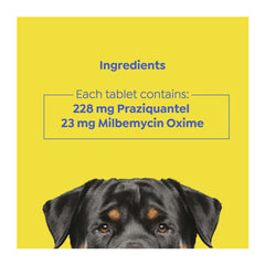 Dog's face with ingredient information on a yellow background