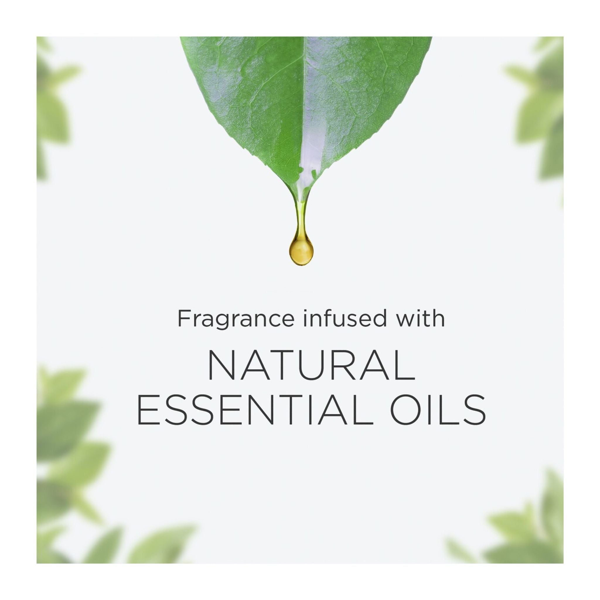 Fragrance infused with natural essential oils, featuring a droplet on a leaf against a light background.