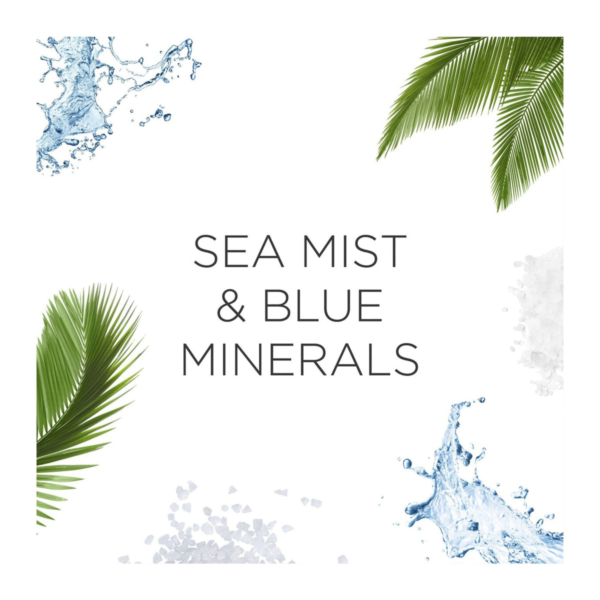 Text 'Sea Mist & Blue Minerals' surrounded by water splashes and palm leaves on a white background