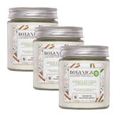 Three Botanica candles with labels on a white background