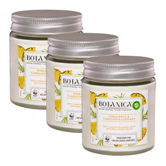 Three Botanica candles with pineapple and Tunisian rosemary flavor on a white background