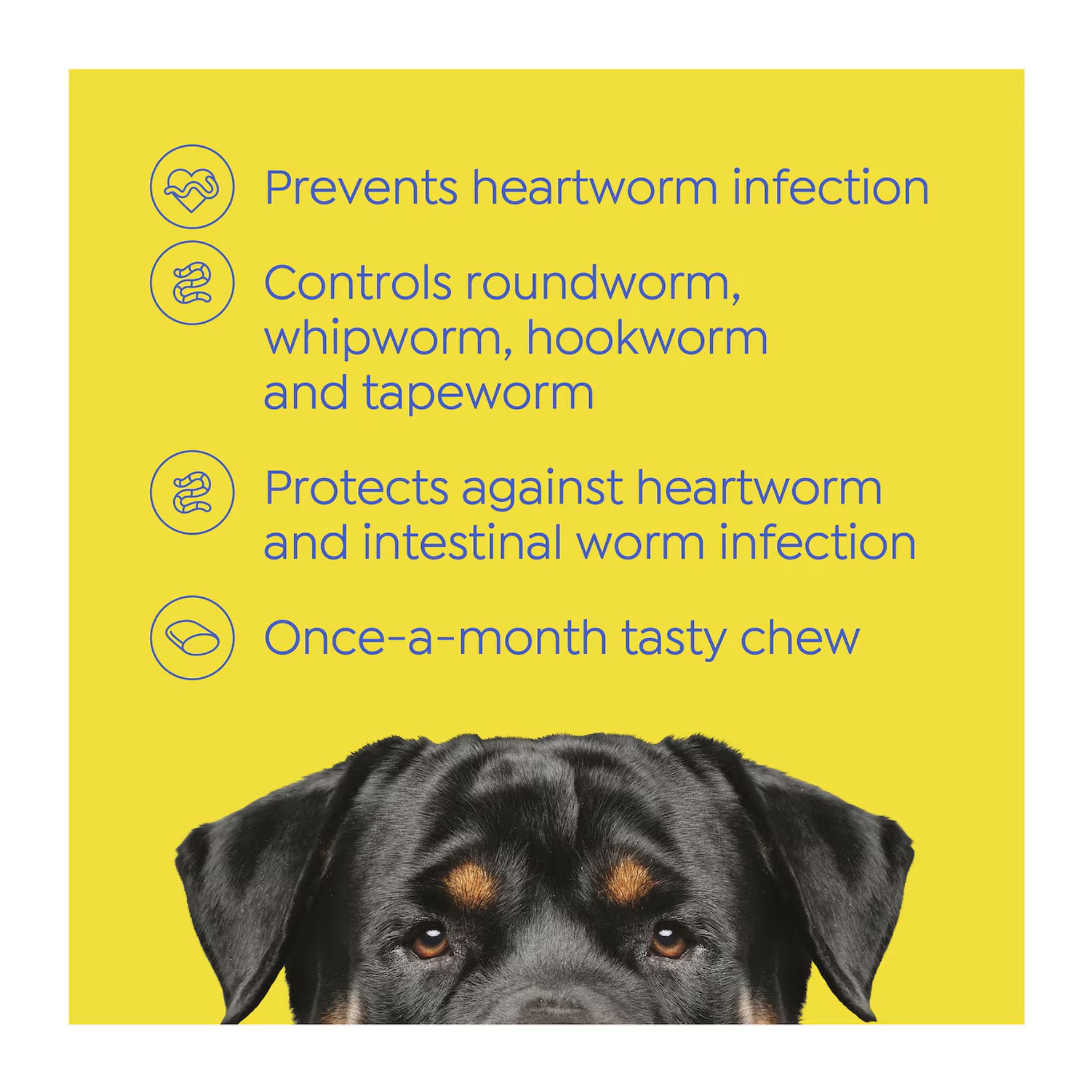 Dog product packaging with text about preventing heartworm infection and controlling worms, featuring a Rottweiler on a yellow background.