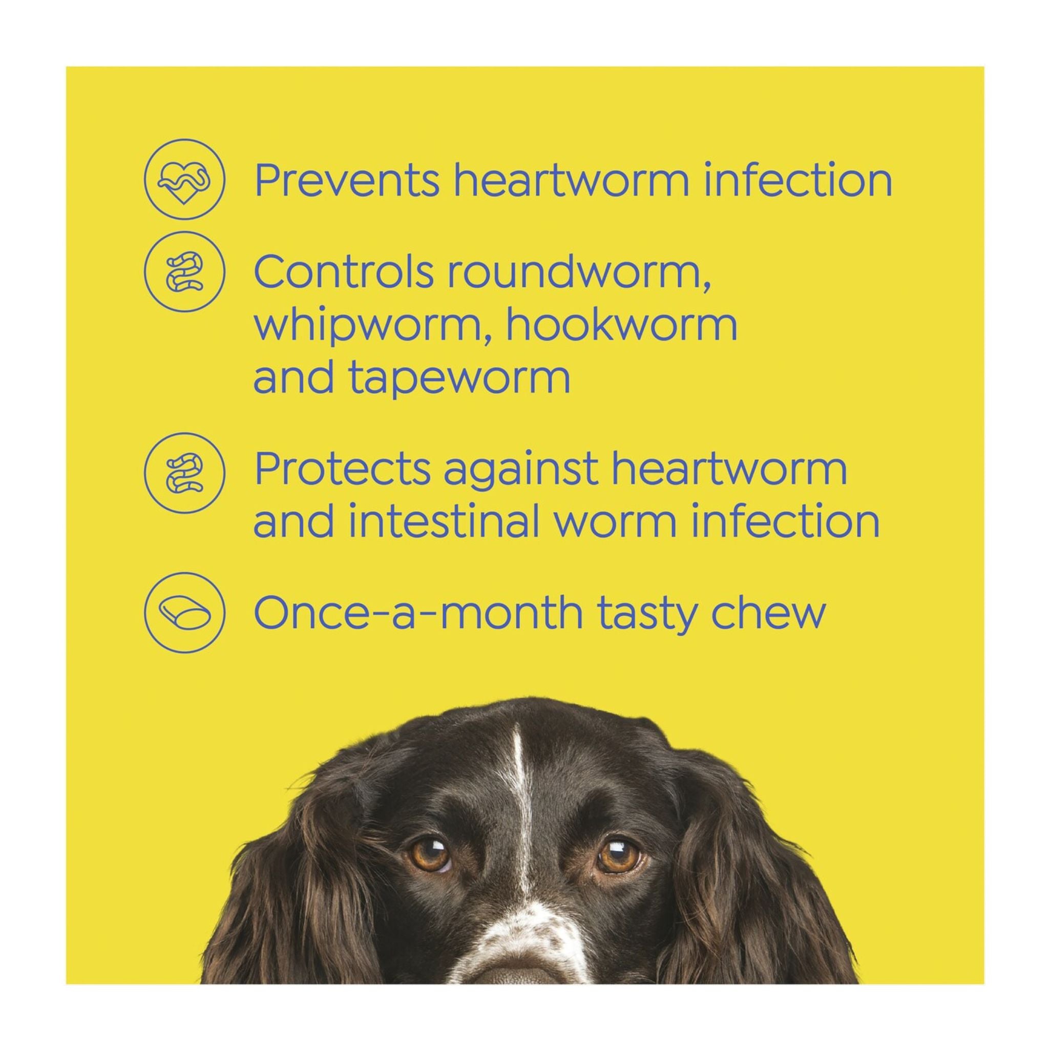 Dog with text about worm control product on a yellow background