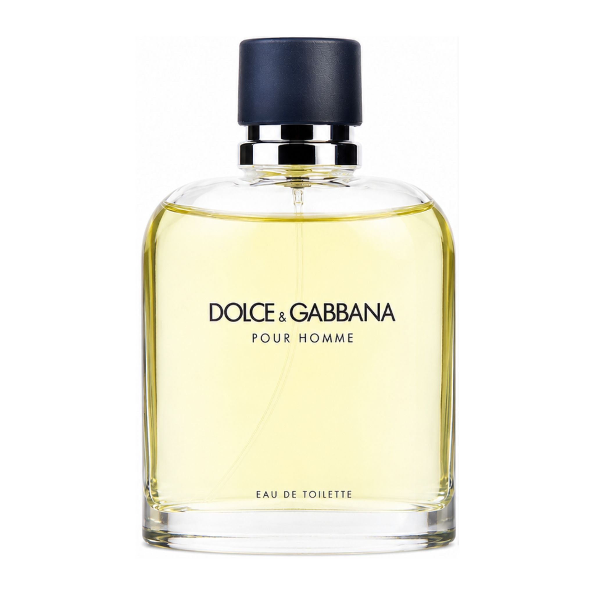 Dolce & Gabbana Pour Homme eau de toilette bottle on a white background