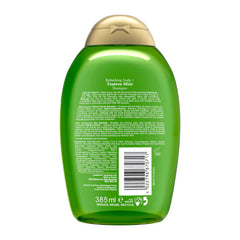 Green shampoo bottle with gold cap on a white background