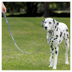 PURINA TOTAL CARE Fashion Dog Lead 120cm displayed in full length with pattern design