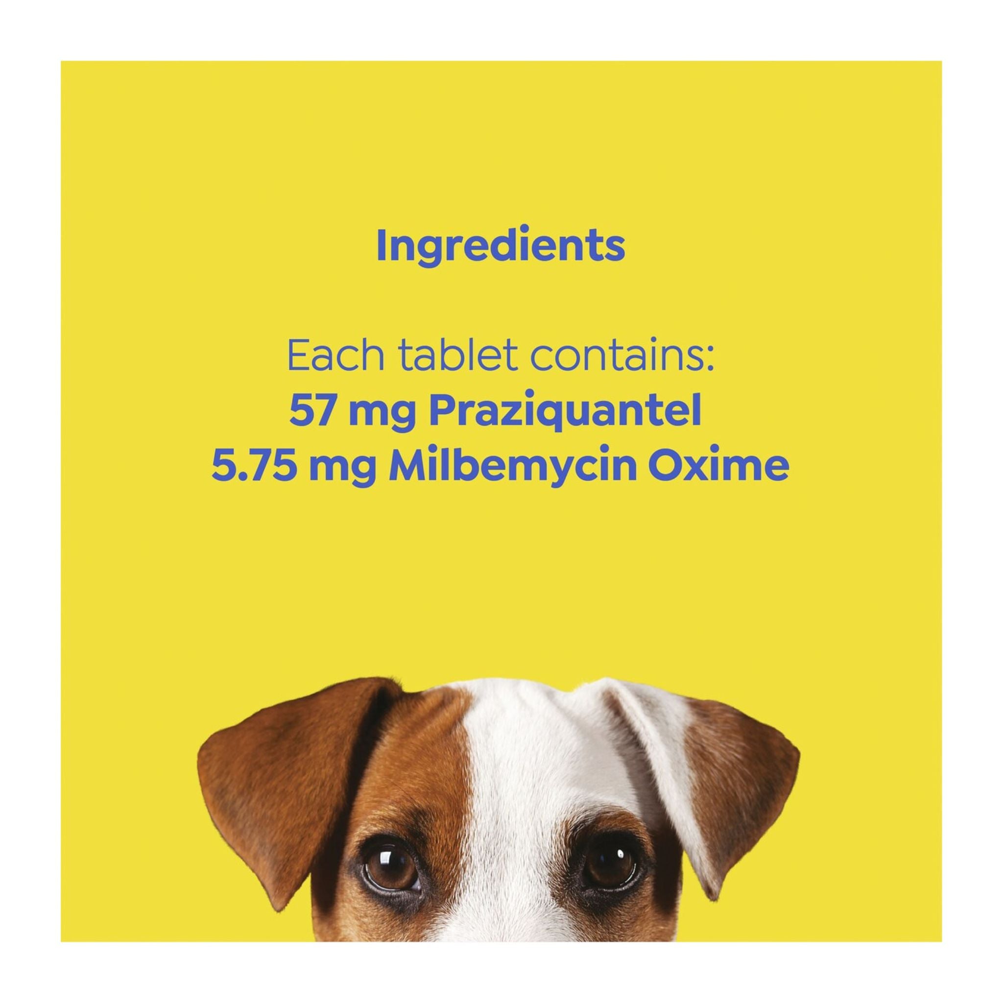Dog's face with ingredient information on a yellow background