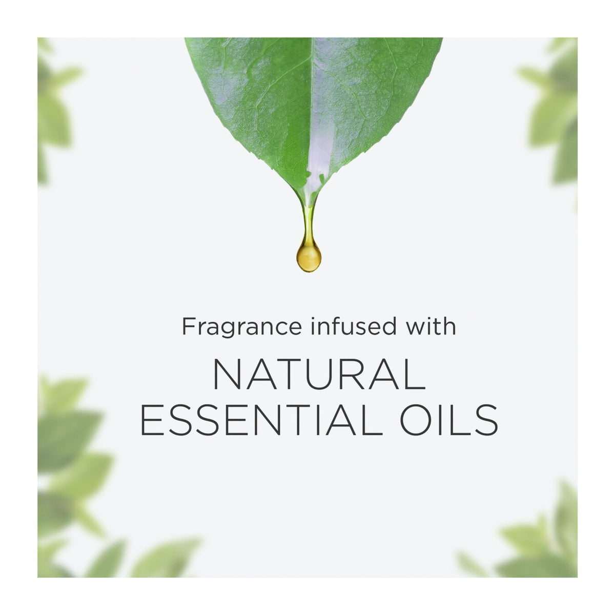 Fragrance infused with natural essential oils, featuring a droplet on a leaf against a light background.