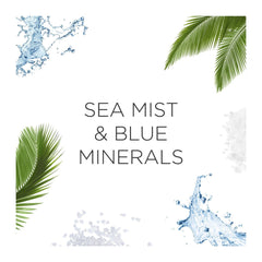Text 'Sea Mist & Blue Minerals' surrounded by water splashes and palm leaves on a white background