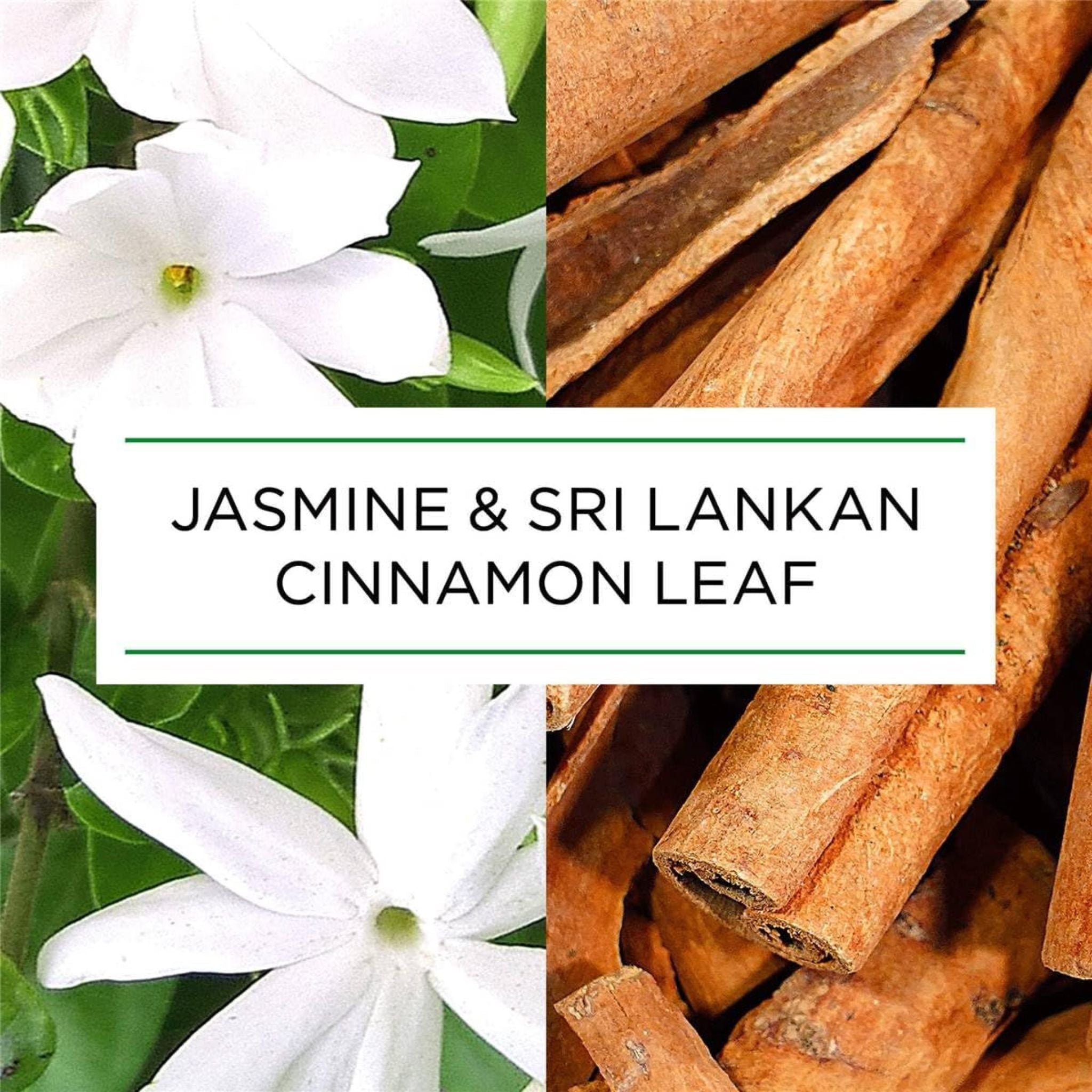 Jasmine flowers and Sri Lankan cinnamon sticks with text overlay.